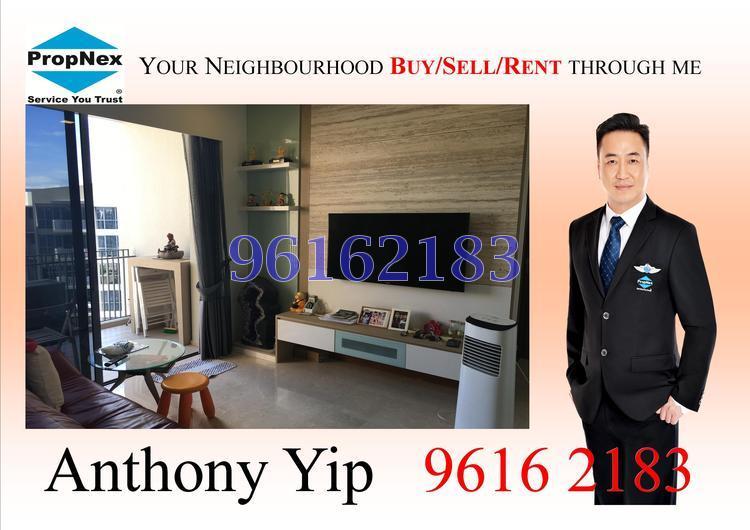 Palm Isles (D17), Condominium #153237352